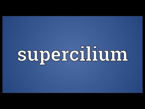 Header of supercilium