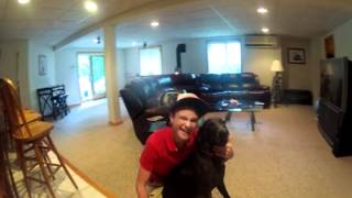 Graph Me Maybe - Call Me Maybe - Math Project Matt and Dom