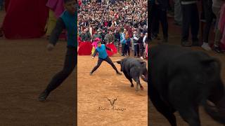 Buen quiebro a este toro #arte #toros #bull #viral #rodeo #top