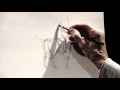 David Leffel Doodle Drawing Classes Trailer - 2015