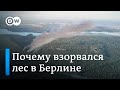 Почему взорвался берлинский лес и что делать, когда городу не хватает пожарных?