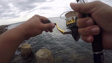 KONGTV - CÂU CÁ MÚ Ở CỬA ĐÀ NÔNG PHÚ YÊN (THỂ LOẠI SHORE JIGGING)