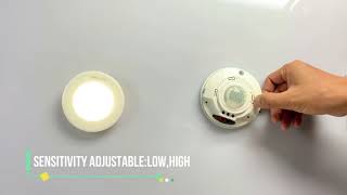 2020 new style ceiling PIR occupancy sensor surface mounted RZ036 Rayzeek Tech