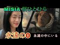 MISIA - 桜ひとひら 永遠の0 Sakura Hitohira The Eternal Zero - reaction video