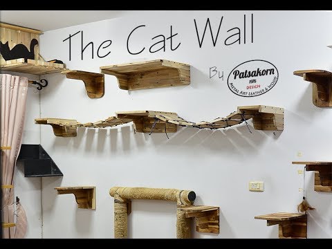 วีดีโอ: สร้างห้องเด็กเล่นสำหรับแมว