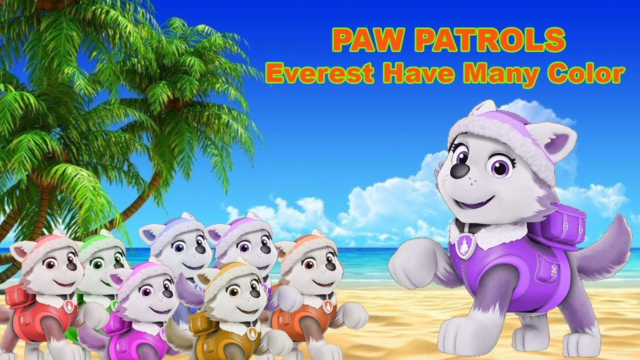 Paw Patrol Everest Snow Adventures have Color | Paw patrols #pawpatrol ...