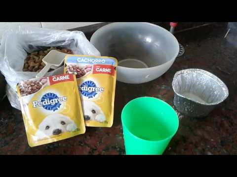 Video: Cómo hacer pastel de perro simple
