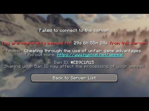 False Banned in Hypixel Skyblock for "failing" a macro check
