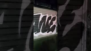 GRAFFITI NEVER DIES #GANE(CLEAN GRAFF)#NYC screenshot 3
