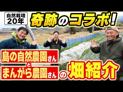 農園暮らし 師匠のYouTube:キャベツのおすそ分けから始まった畑ツアー