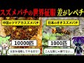 中国産スズメバチ「日本なんて簡単に侵略できるっしょw」しかし返り討ちにされる羽目に...【ずんだもん＆ゆっくり解説】
