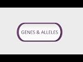 GENES AND ALLELS: Definition and Deference