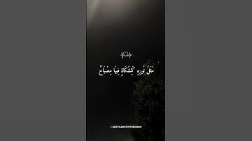 🌙📖 تلاوة مؤثرة وهادئة تشرح الصدر | بصوت الشيخ ماهر المعيقلي 🤍✨ #ماهر_المعيقلي #short
