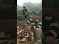 ENT video...