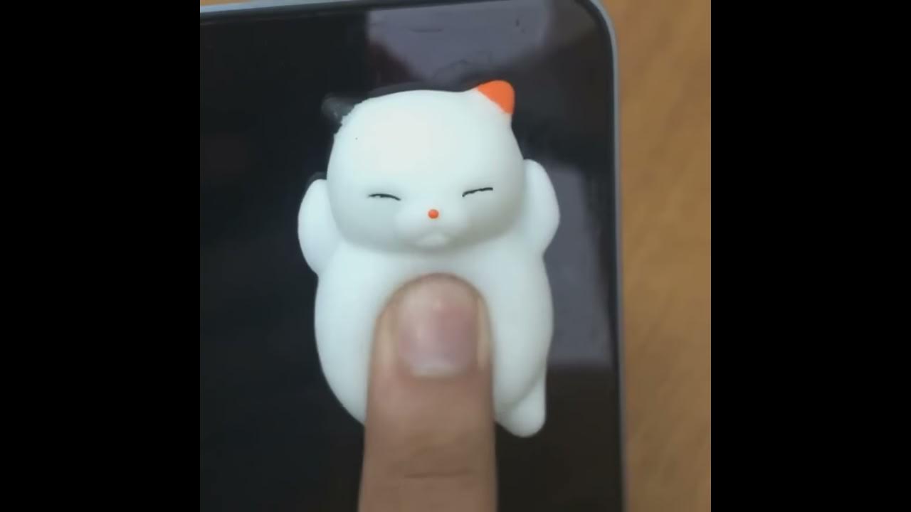 Идеи для сквишей из бумаги. Игрушки-антистресс сквиши собаки. Squish mellows. Squishy bongacams. Антистресс котята пончик.