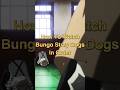 Watch Bungo Stray Dogs In Order