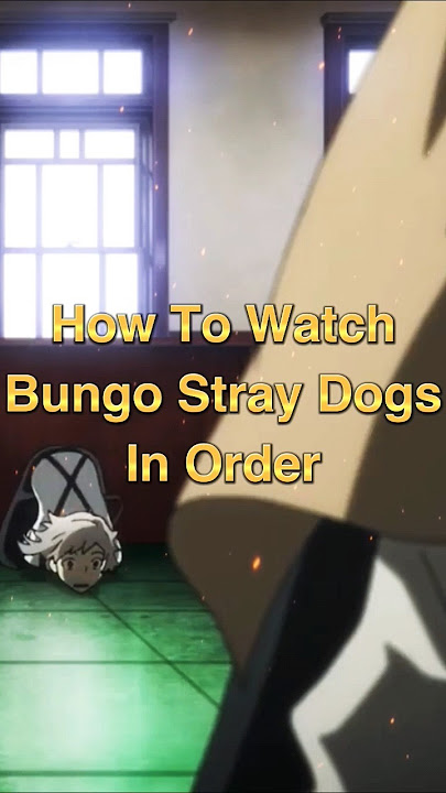 Watch 'Bungo Stray Dogs' in Order