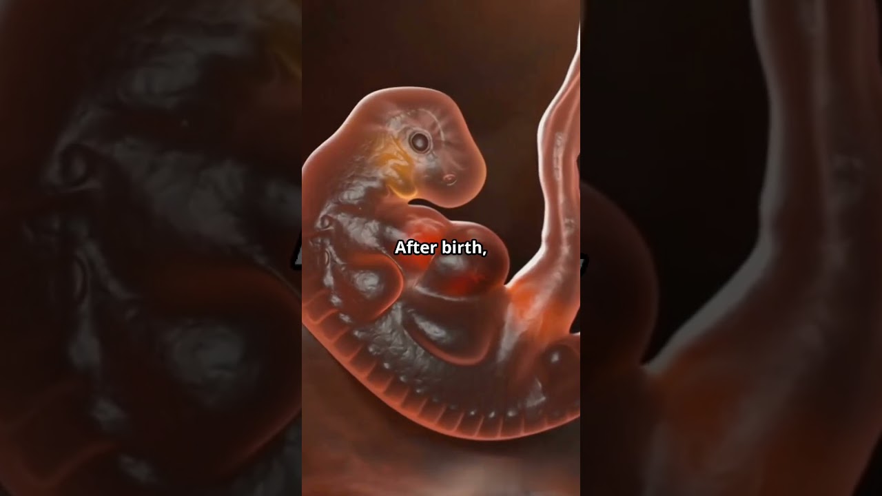 Secrets of belly button!!! 