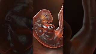 Secrets of belly button!!! #health  #mystery