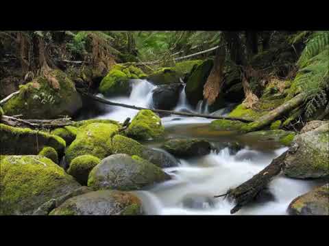 أغنيه فكروني ل طاهر مصطفي كلمات لذيذه روقان