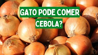 Gatos Podem Comer Cebola? Gato Pode Comer Cebola?