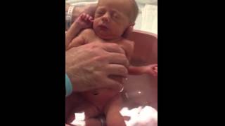 Molly first bath