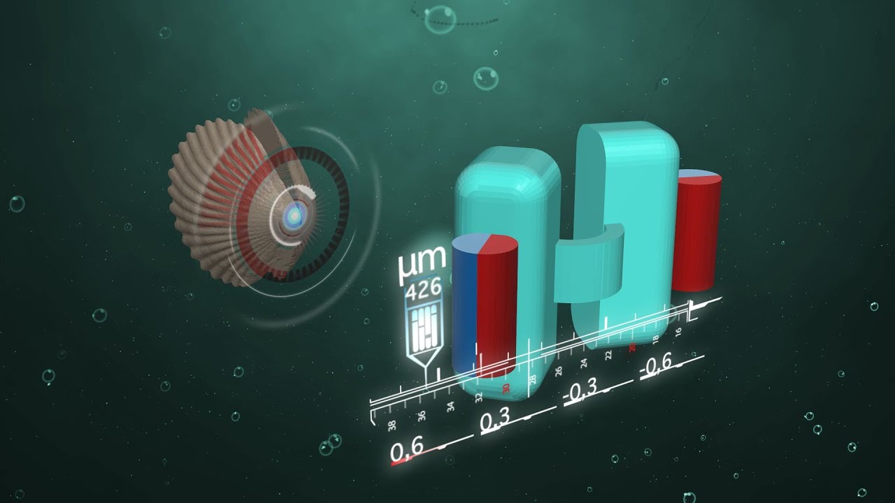 Swimming Robotic Micro-Scallop