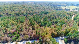 $500 Down Owner Financing for Mature Timber & County Road Frontage - InstantAcres.com - ID#PR11A