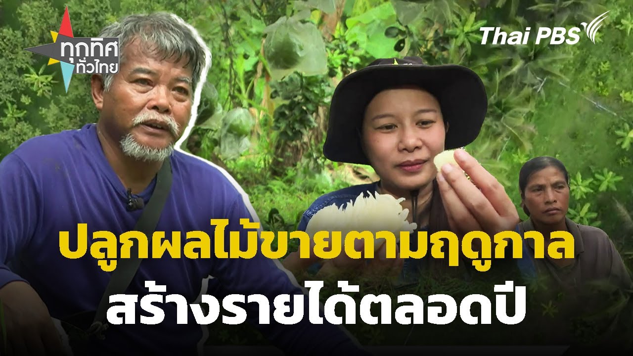 ปลูกผลไม้ขายตามฤดูกาลสร้างรายได้ตลอดปี | ทุกทิศทั่วไทย | 30 พ.ค. 68