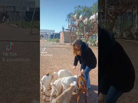 هناك احضان اذا دفنت رأسك فيها احسست بالامان الأمان اكسبلور المغرب الخليج الشعر 