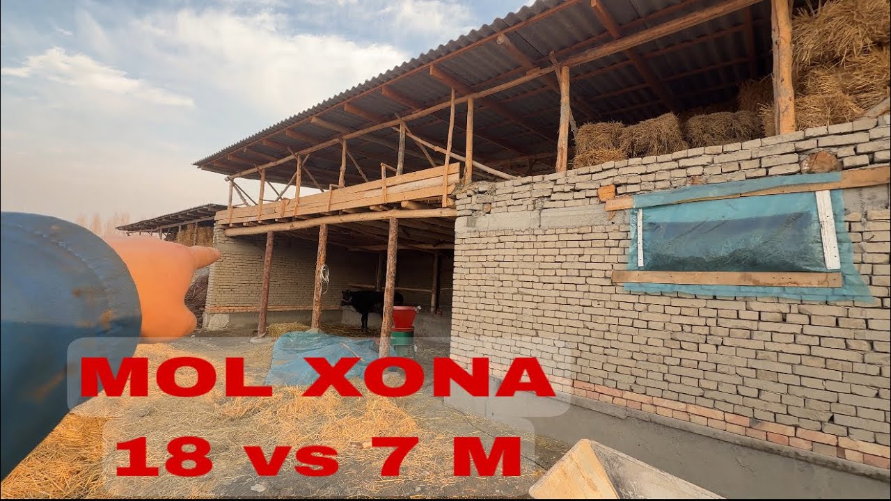 МOL XONAGA KETGAN RASXOD !