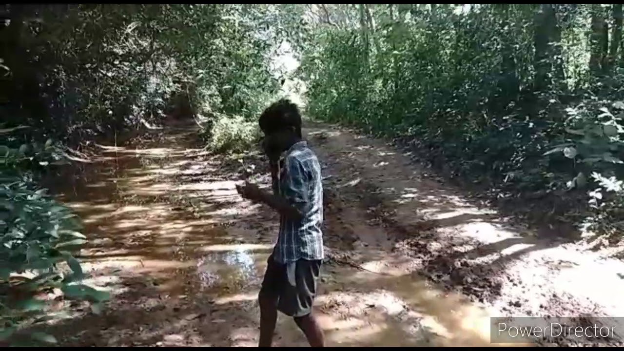 Ye apadhalo nuvvu vunna nenu vasthane naa pranama video song