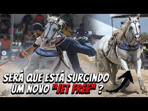 Portal Vaquejada - REI BIG DOC é campeão antecipado do CPV 2022 e entra  para a história como um dos mais competitivos cavalos de puxar na vaquejada.