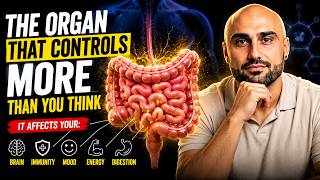 The Organ That Controls More Than You Think!