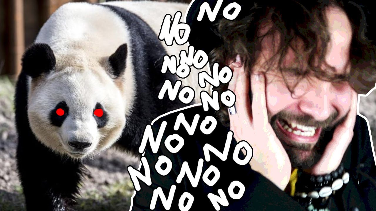 Il ritorno del PANDA - SCIENZA BRUTTA