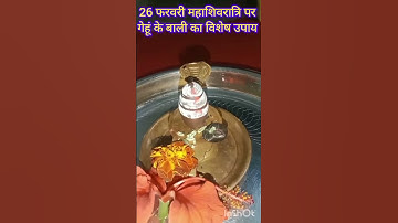 26 फरवरी महाशिवरात्रि व्रत करेंगे गेहूं की बाली का विशेष उपाय #shots #pradeepmishrajidhankeupay
