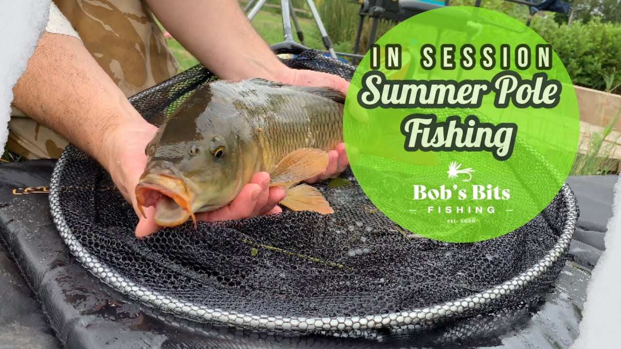 Summer Pole Fishing - in session - YouTube