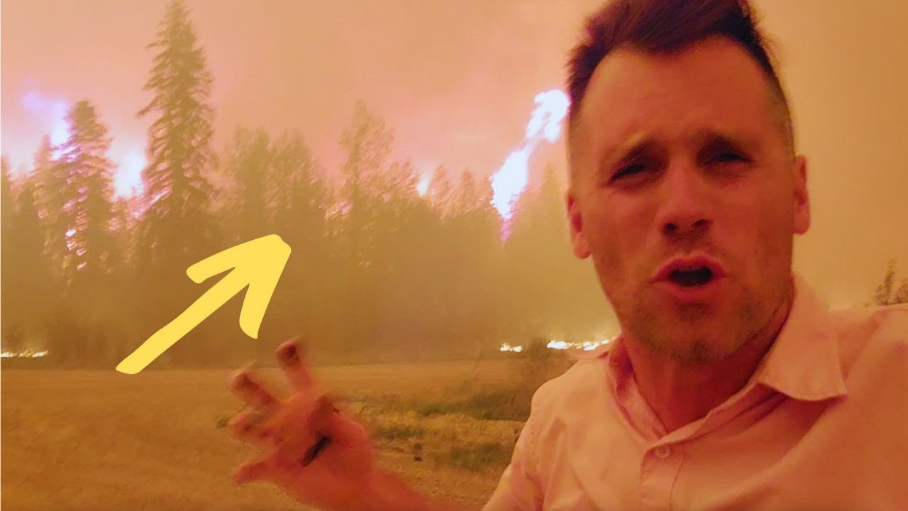 Reporter gets CLOSE to Wildfire