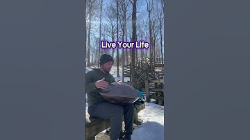 Thumbnail of Healing Handpan Music In The Woods #handpan #handpans #handpanman