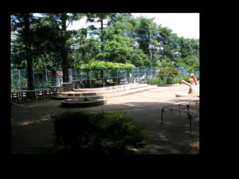 ぐるぐるの性的衝動-Taking the photograph for 24 hours while walking -