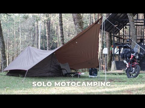 SOLO MOTOCAMPING | PINE FOREST | CAMPING MASUK HUTAN & LIVE MUSIC | ソロキャンプ | JUNGLE MILK | CT125