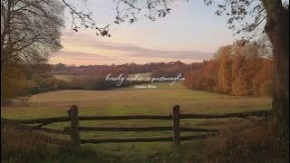 a playlist for a quiet morning 🍂🐈💨 (autumn version)