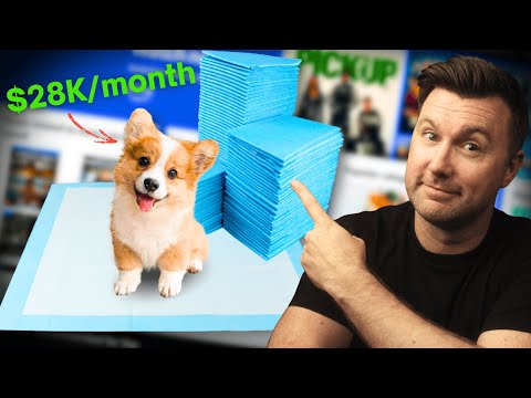[REVEALED] The Most Profitable Amazon FBA Categories You SHOULD Be Selling In! (2025)