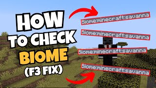 How to Check Biome in Minecraft 1.21.8+ (Java & Bedrock Edition Guide) screenshot 2