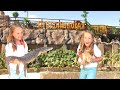 Голубицкая 2020 Крокодиловая ферма Краснодарский край отдых в России / Great Box Vlog