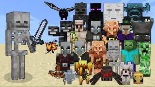 Skeleton with Iron Sword vs Every Mob in Minecraft - Minecraft mob battle