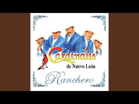Ver video de Rey pobre