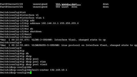 How to assign DHCP ip address in a Cisco Switch