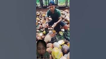 kỹ thuật chặt dừa 2dao #shortvideo