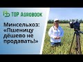 Минсельхоз: «Пшеницу дёшево не продавать!» | Выпуск новостей прямо с полей | TOP Agrobook